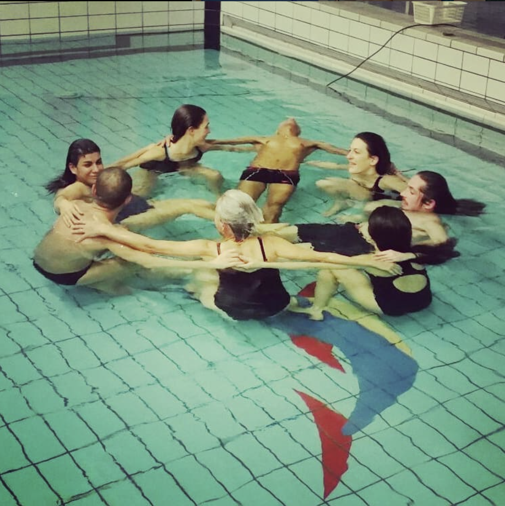 An illustrative sketch of a flower